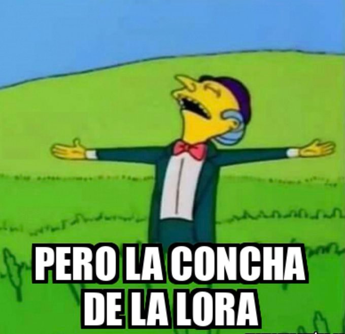 Gordo surfer tweet media