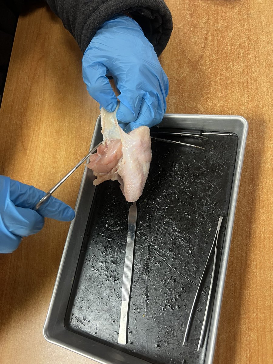 Kristen Adams tweet media