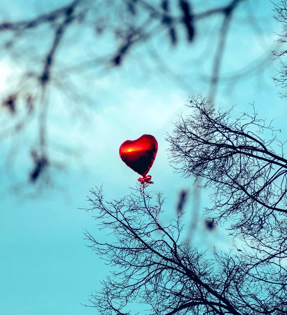 MyPowertalk's tweet photo. ❤️
LOVE is
boundless
ageless
beautiful❤️
creative
limitless
real✨
amazing
reassuring❤️
inviting
embracing...
❤️
LOVE is 
All That Is✨
       ✨   ❤️    ✨
❤️   ✨     ❤️
✨     ❤️✨   ✨
       ❤️     ✨❤️✨
             ✨❤️
                         ♥️
Happy Valentine’s Day!♥️ https://t.co/cM1J3qmG9n