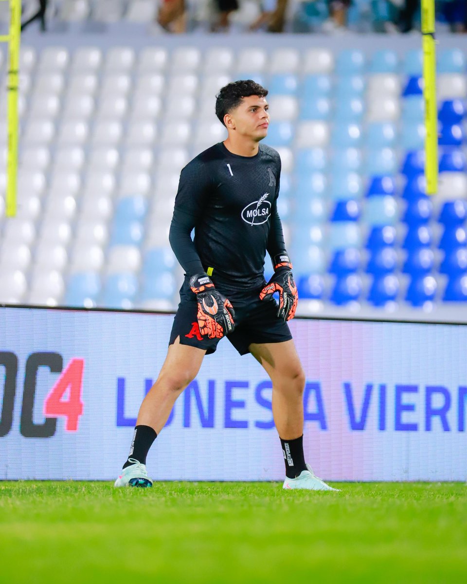 Sergio Sibrian (@sibrian_purdy) on Twitter photo 