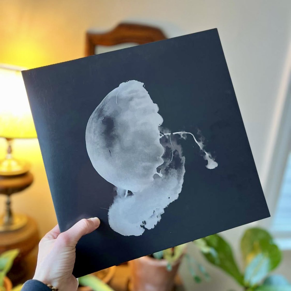 Our new EP Otherworldly Pictures drops on Valentine’s day. Snag it on Bandcamp Digital/Vinyl which feature 6 beautiful remixes. 
linktr.ee/animalscream#v… #doompop