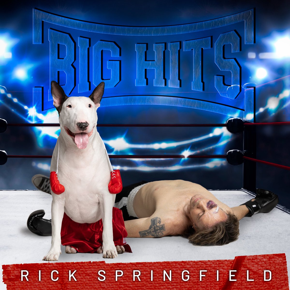 Rick Springfield (@rickspringfield) on Twitter photo Come hang with me at <a href="/amoebamusic/">Amoeba Music</a> Hollywood on Feb 25! Details here: amoeba.com/live-shows/upc… Come hang with me at <a href="/amoebamusic/">Amoeba Music</a> Hollywood on Feb 25! Details here: amoeba.com/live-shows/upc…