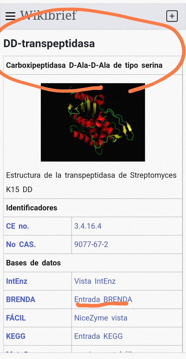 observadora007's tweet photo. @DlakaDarko @CuecaLabs @CoyoteSanctuary @threadreaderapp 🧵🧬 gen SHH ... ‼️E1
DD peptidasas
👁️‼️ Penicilina binding‼️😅
💫💖 Sonic Hedgehog
💫 ORGANOGÉNESIS
💫💖 Genes y proteasas ANCESTRALES😁
E1 UBIQUITIN🟰#MDR1 multidrug resistent gen🟰DPPs 🟰💖💫 DPP4 🟰💖💫 #CD26 🟰PLpro🟰PLcys🟰 💖💫#PapainaPolimerica
https://t.co/FVnRCRtv6M https://t.co/RRFSbNwJr5