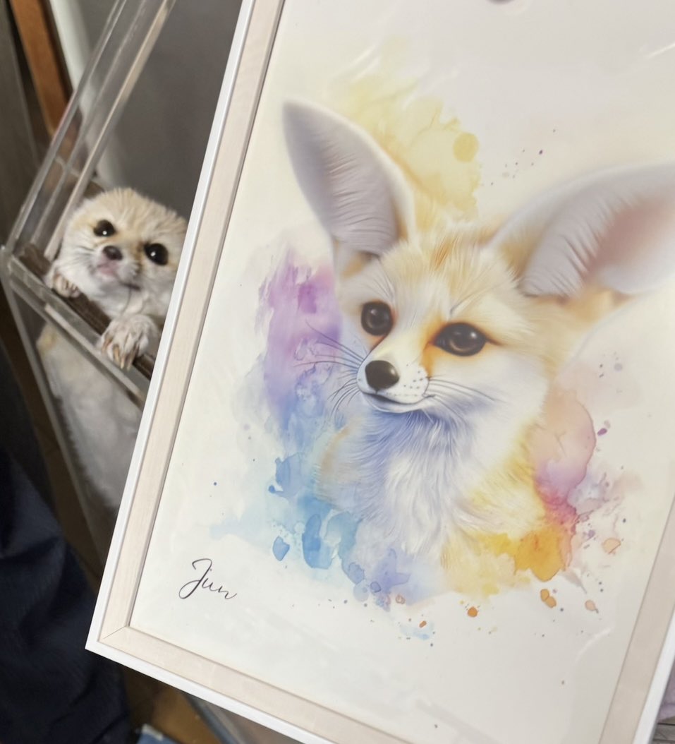 たき(元ミーアキャットひなた) tweet media