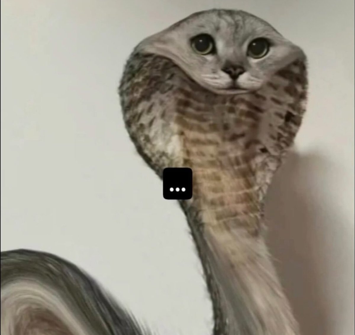 KindTestingDTX's tweet image. Hi besties! We’re at capacity for walkins  in Dallas tonight. we’ll be back next Tuesday at 6p!