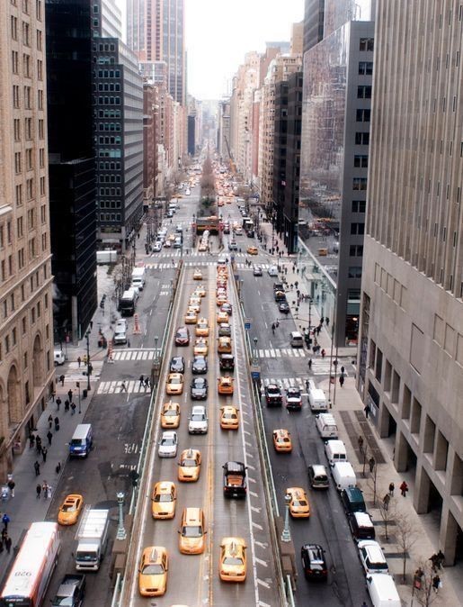 leoninethings's tweet image. 