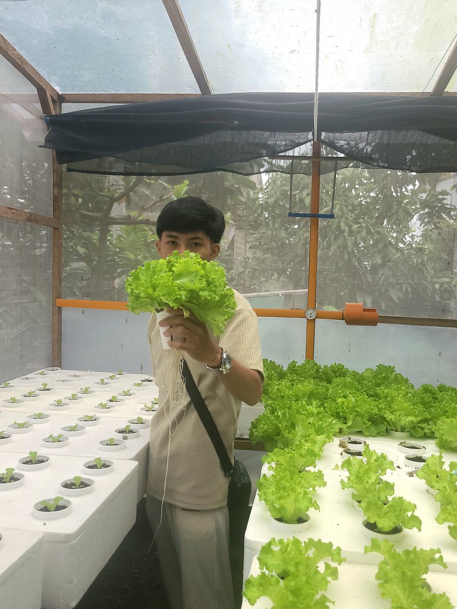 Happy Valentine's Day!!
Lettuce for u 🥰