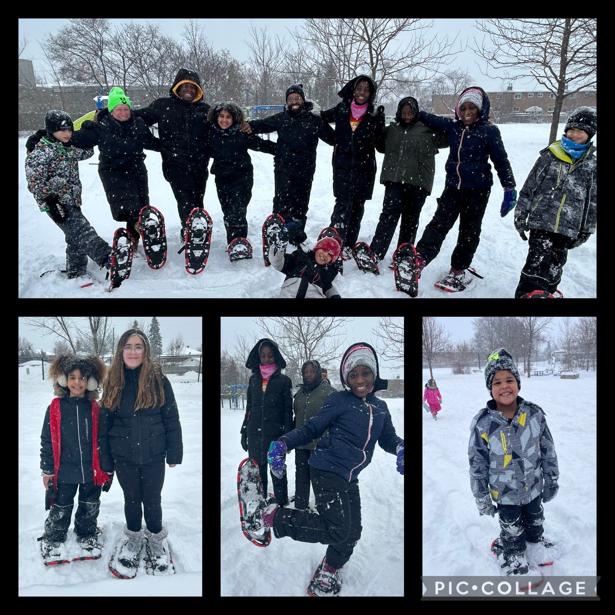 St. Michael School (Ottawa) (@stmichaelocsb) on Twitter photo What better day to learn how to snowshoe <a href="/StMichaelOCSB/">St. Michael School (Ottawa)</a> but on a snow day? Great big yard, fresh snow, and young hearts! <a href="/MmeMicheline/">Mme Micheline</a> is feeling grateful for a day of togetherness, winter fun, and laughter. <a href="/seankellyottawa/">ππππ πππππͺ</a> <a href="/OttCatholicSB/">Ottawa Catholic School Board</a> What better day to learn how to snowshoe <a href="/StMichaelOCSB/">St. Michael School (Ottawa)</a> but on a snow day? Great big yard, fresh snow, and young hearts! <a href="/MmeMicheline/">Mme Micheline</a> is feeling grateful for a day of togetherness, winter fun, and laughter. <a href="/seankellyottawa/">ππππ πππππͺ</a> <a href="/OttCatholicSB/">Ottawa Catholic School Board</a>
