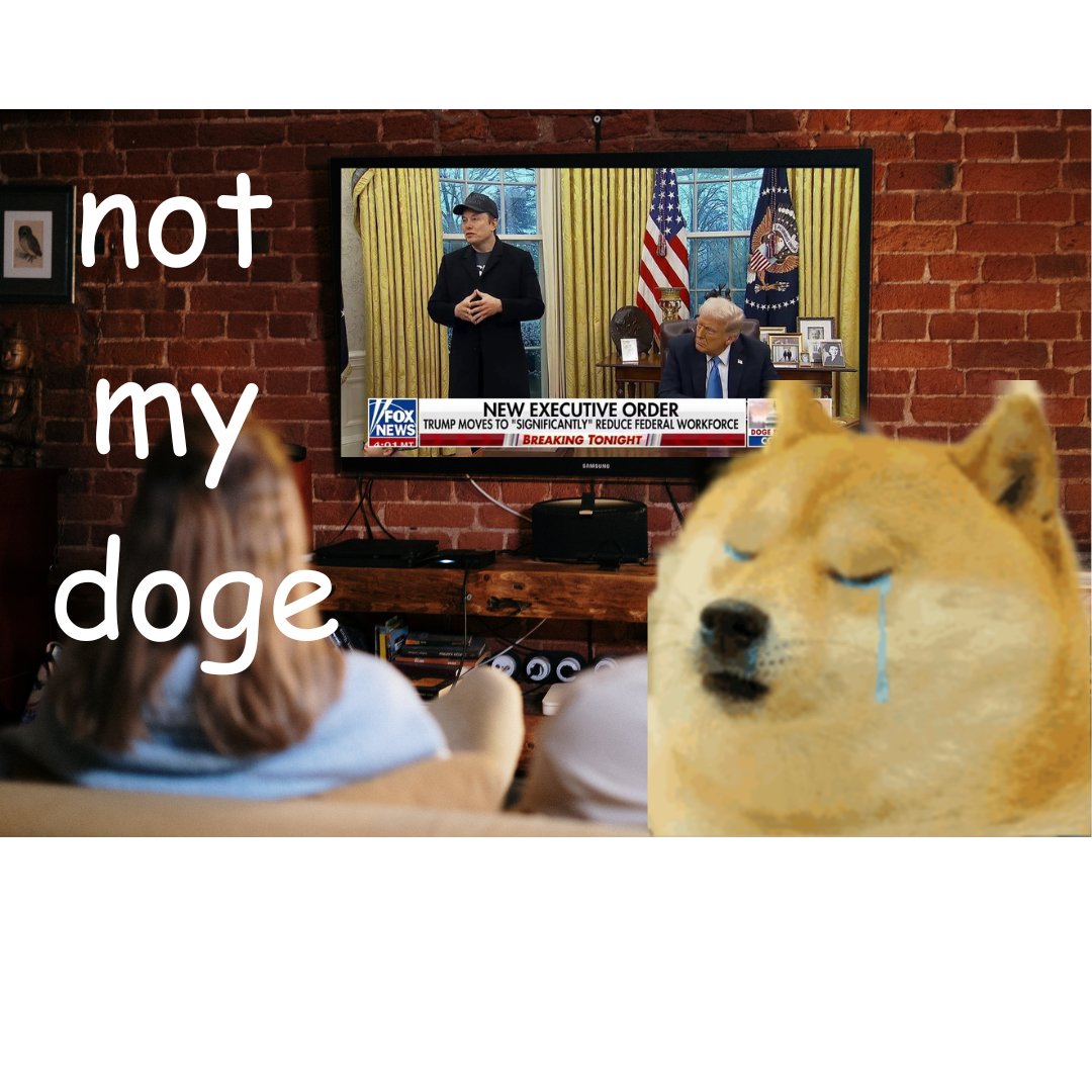 staticterrapin's tweet photo. #DOGE https://t.co/Ne8Ml4k5gR