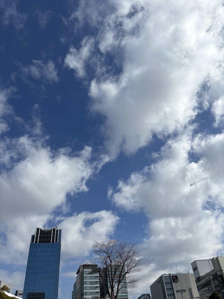 おはようございます😊

今日の川崎市の天気は、ほぼ晴れ☀️

今日はバレンタインデーです💝

バレンタインデーにチョコを贈る文化は日本特有のものらしいです🧐

今日も一日頑張っていきましょう🍫

#企業公式が毎朝地元の天気を言い合う 
#企業公式相互フォロー
#就労移行 #就労継続支援B型 #川崎