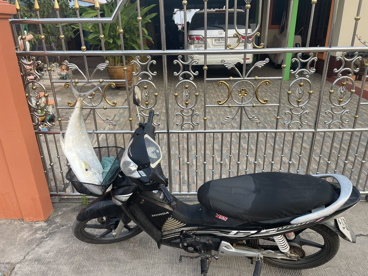 JusssTony's tweet image. The pollution is next level atm, coughing like crazy and it’s bloody hot 🥵 

Someone had an early trip to the seafood market. 

Giraffes are quite popular here. 

#RandomPics 
#MorningWalk