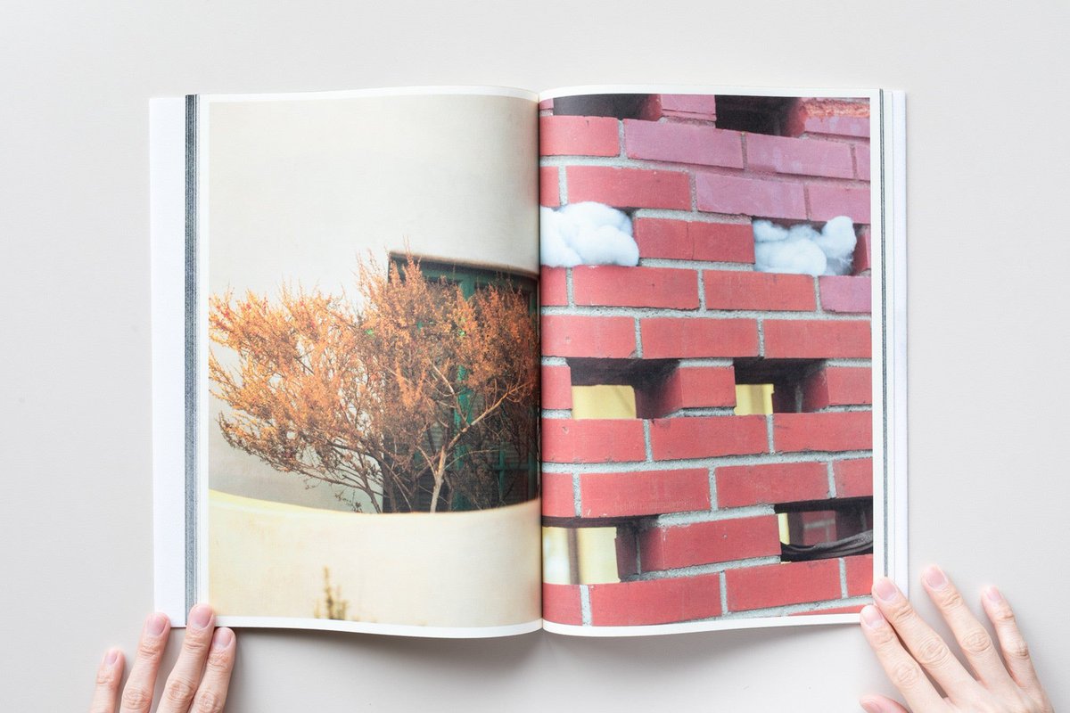 メキシコ在住の写真家、アレハンドロ・カタジーナによる写真集。本書は、アメリカが過去4年に経験した文化的混乱を追ったシリーズ三部作の最終章として制作された。カオスこそが現状を表すのに最もふさわしいと声高に叫ぶかのように、断片的なイメージが脈絡なく展開する。→
iack.online/collections/al…