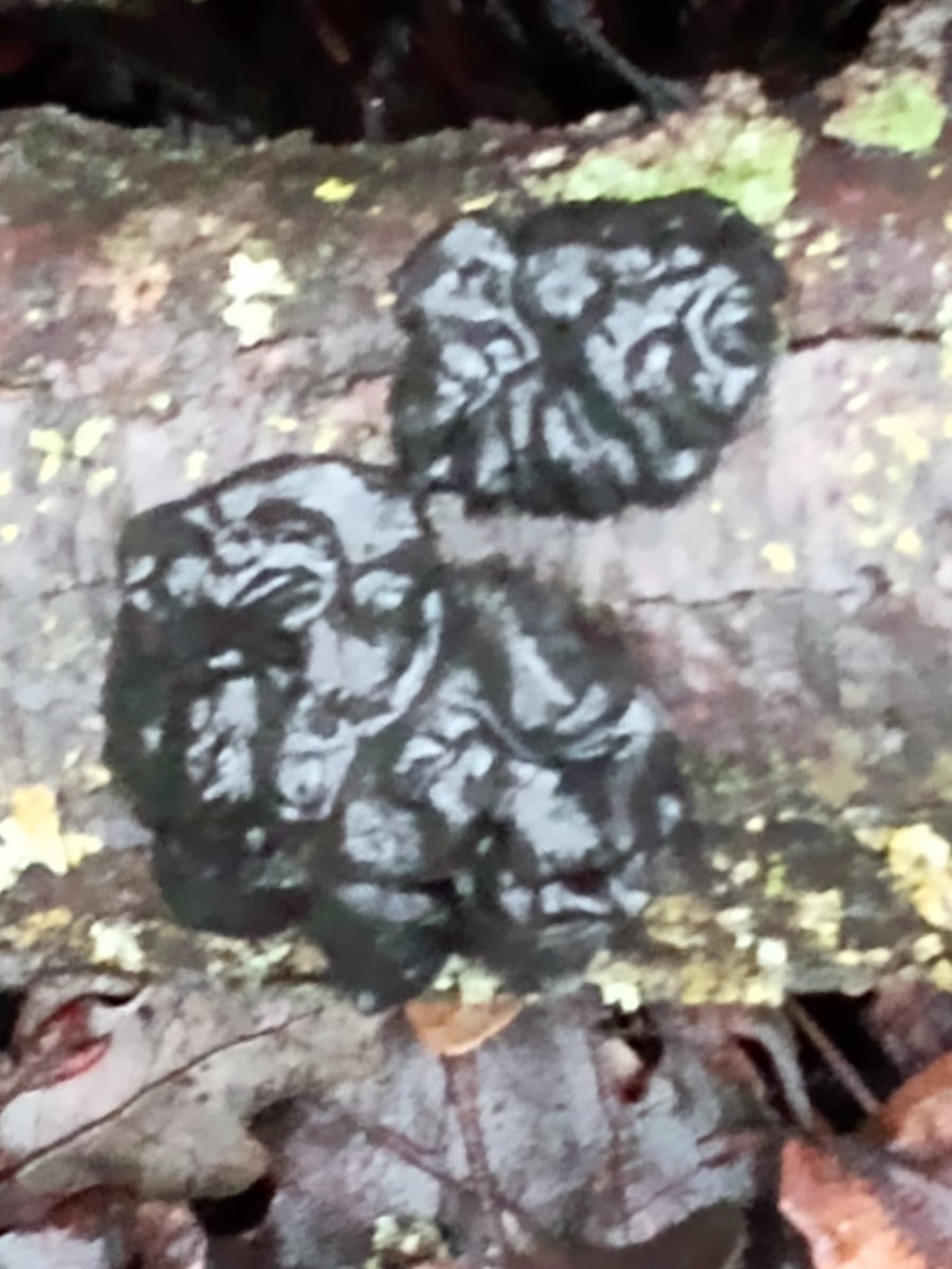 Justin Surratt tweet media