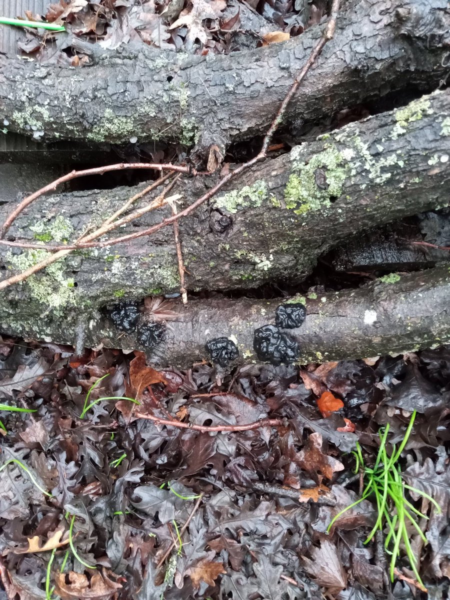 Justin Surratt tweet media