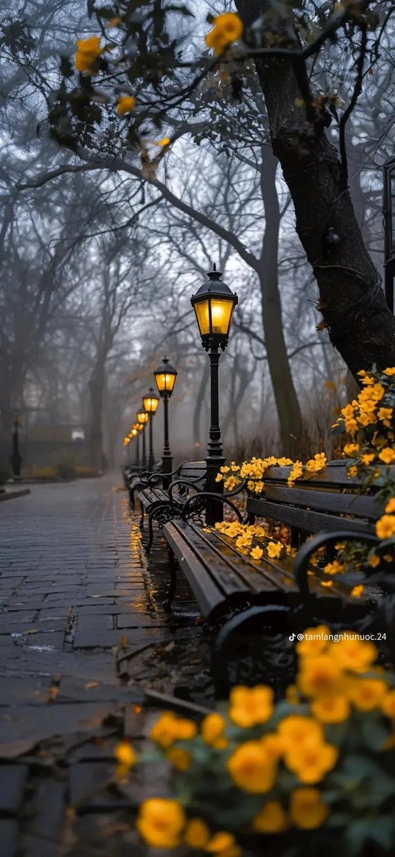 Enjoy the moment before it becomes a memory...!!
Good morning 🌞