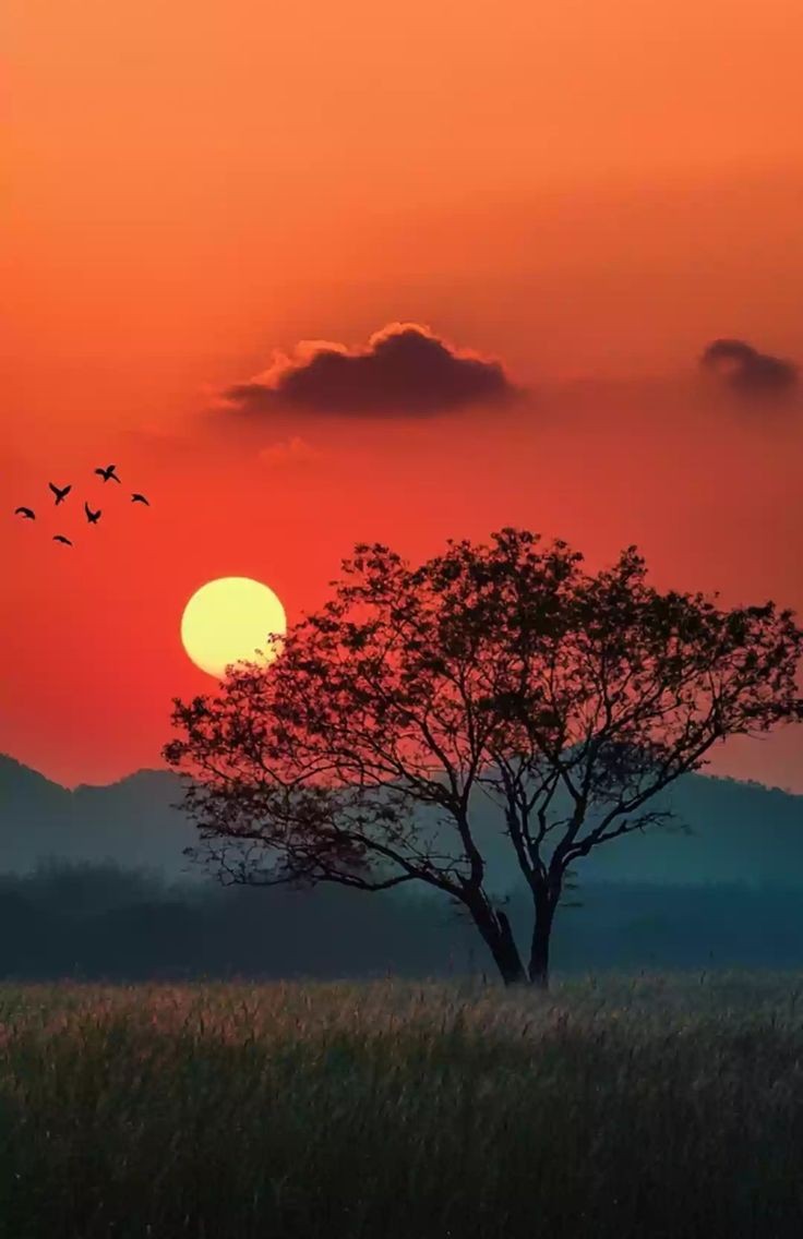 Assalamoaliekum 💐 

Have a Peaceful Morning 🌄 

GOOD MORNING X Nation.