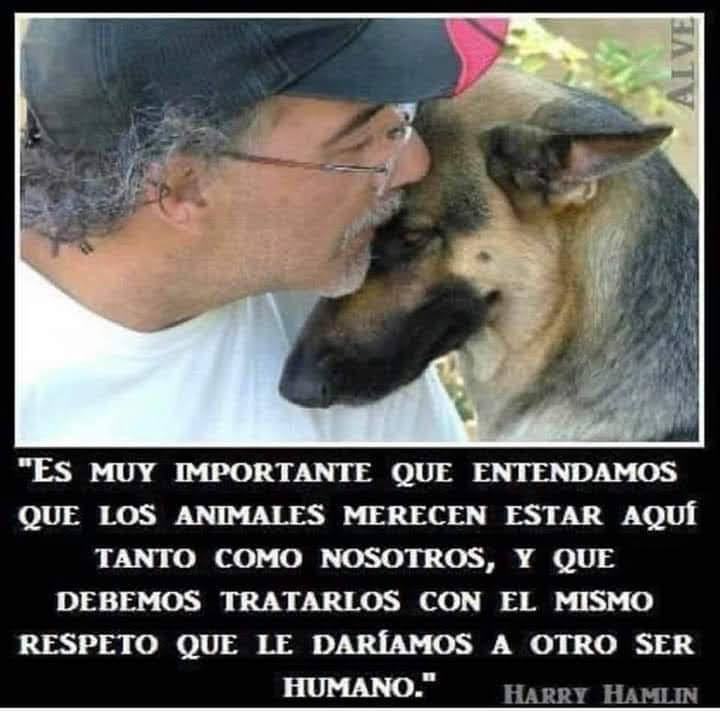Guadalupe Ramirez tweet media