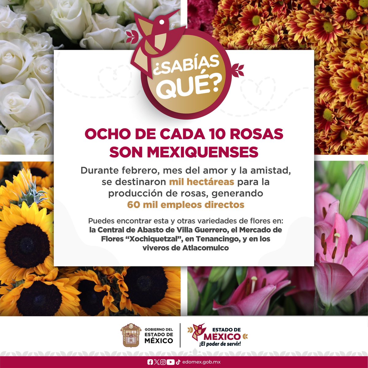 🌹🌼 El #EdoMéx es el principal productor de flor en el país, ocho de cada diez rosas que se venden en México son cultivadas en la entidad. Con #ElPoderDeServir fortalecemos la floricultura e impulsamos la economía local. 💐