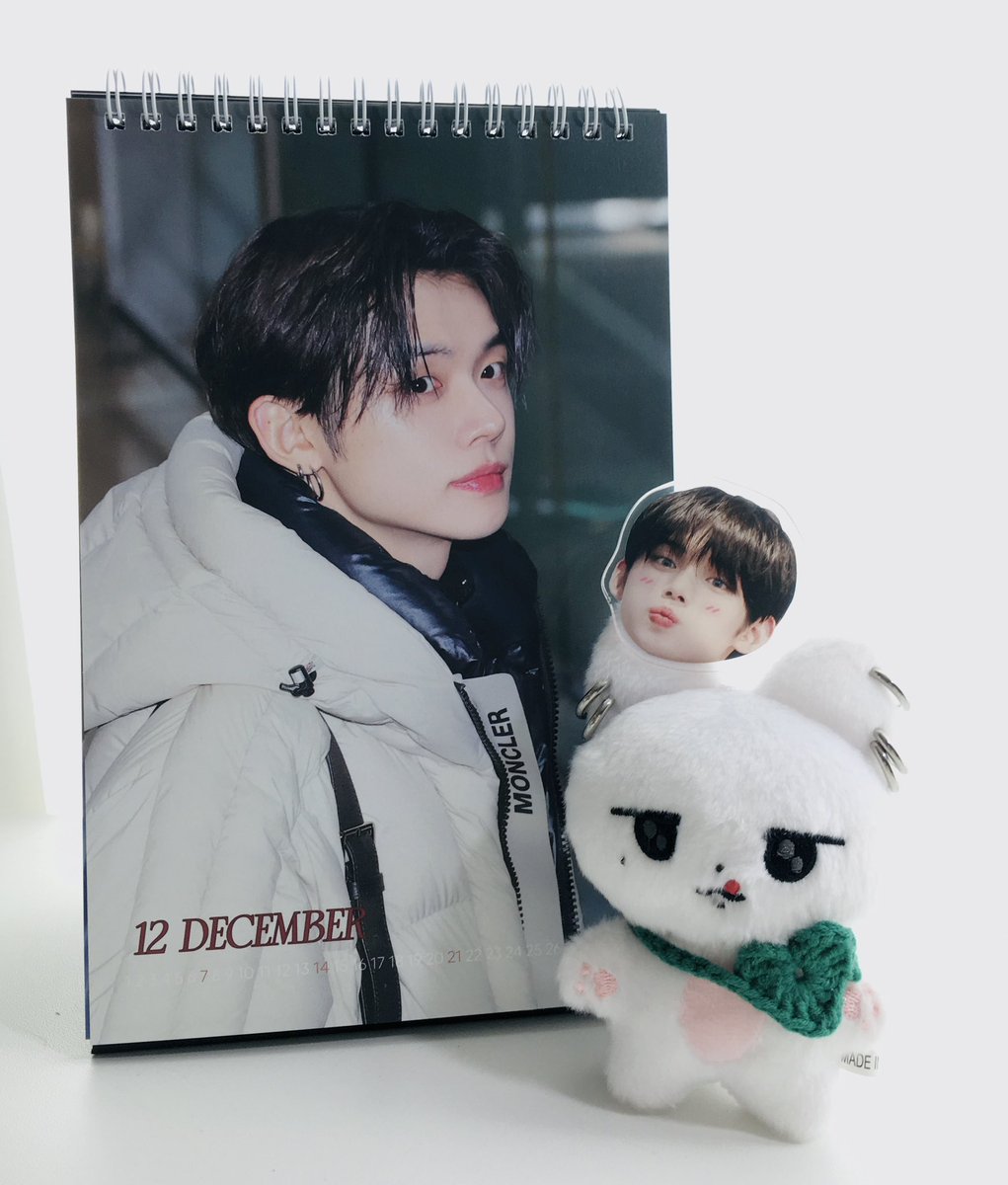 #오늘의힙냥