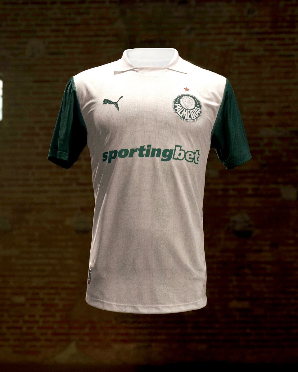 Palmeiras lançou as camisas para a temporada 2025.

A verde é bem estilo retrô, a branca eu gostei bastante, muito inovador.

A camisa é em homenagem ao título Mundial de 1951.
