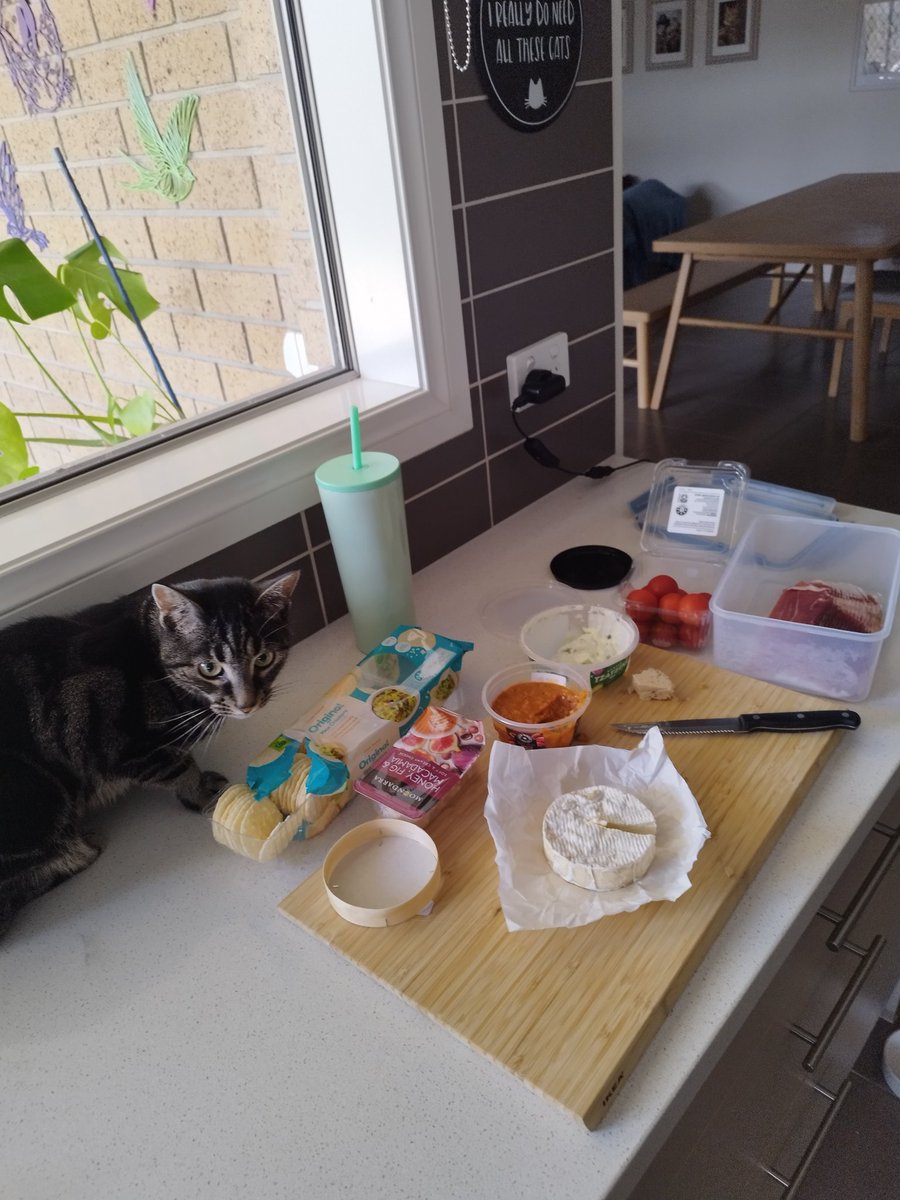 Siblings of Scruffkit tweet media