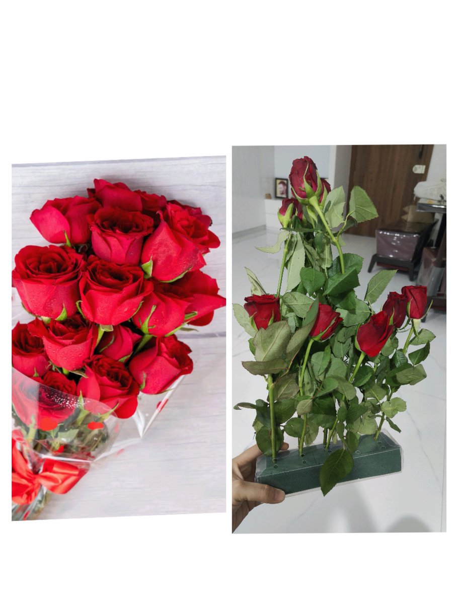 sonachhatwani's tweet photo. @SwiggyInstamart @SwiggyCares Pay 450 to receive a bunch of dead roses and rotten/falling leaves! To spoil your valentine day. Good going guys! #worst #care #pathetic https://t.co/SJLsTojPTR
