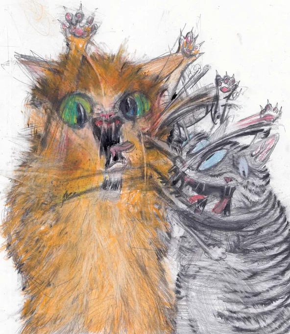 この方の描く猫激しい 