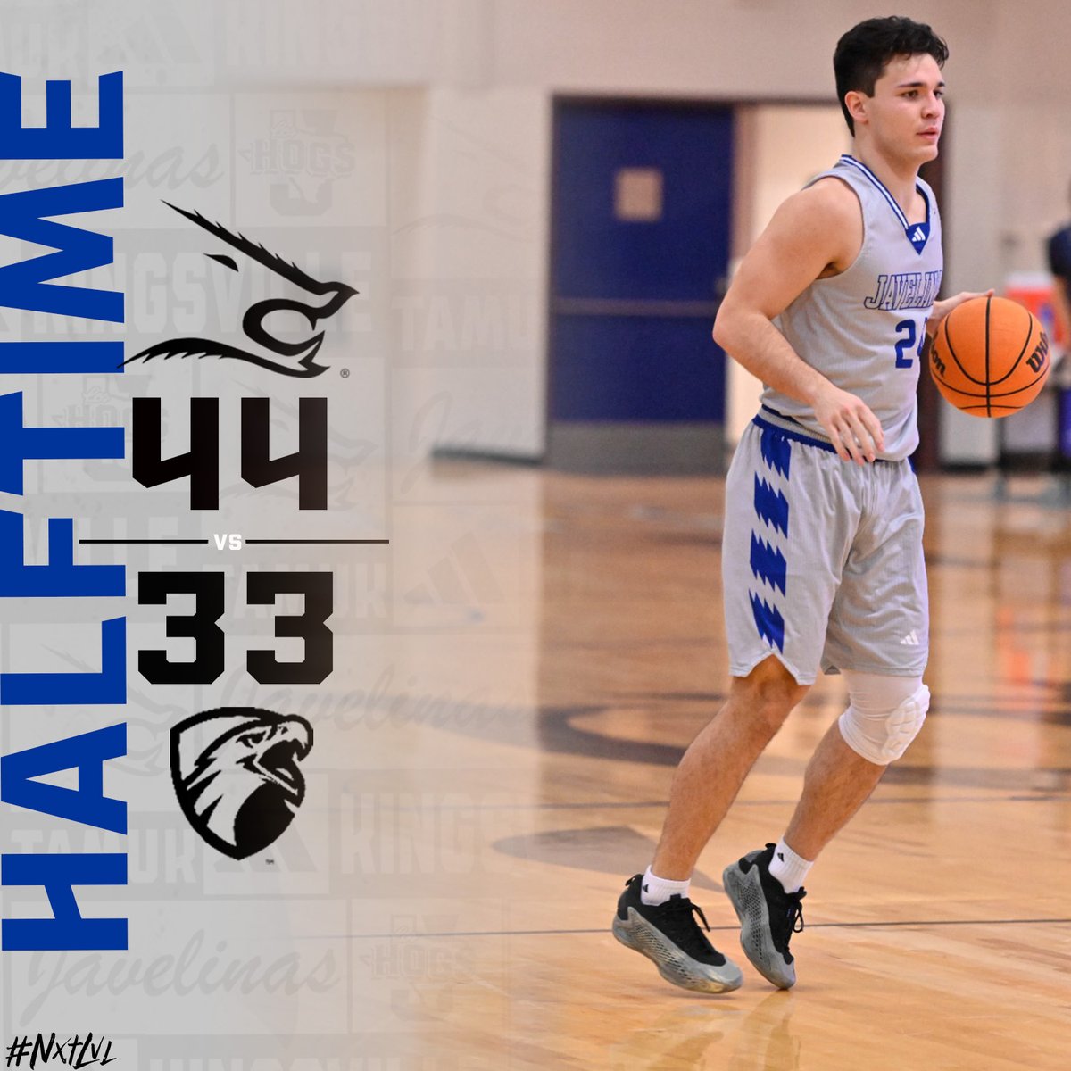 Javelina MBB tweet media