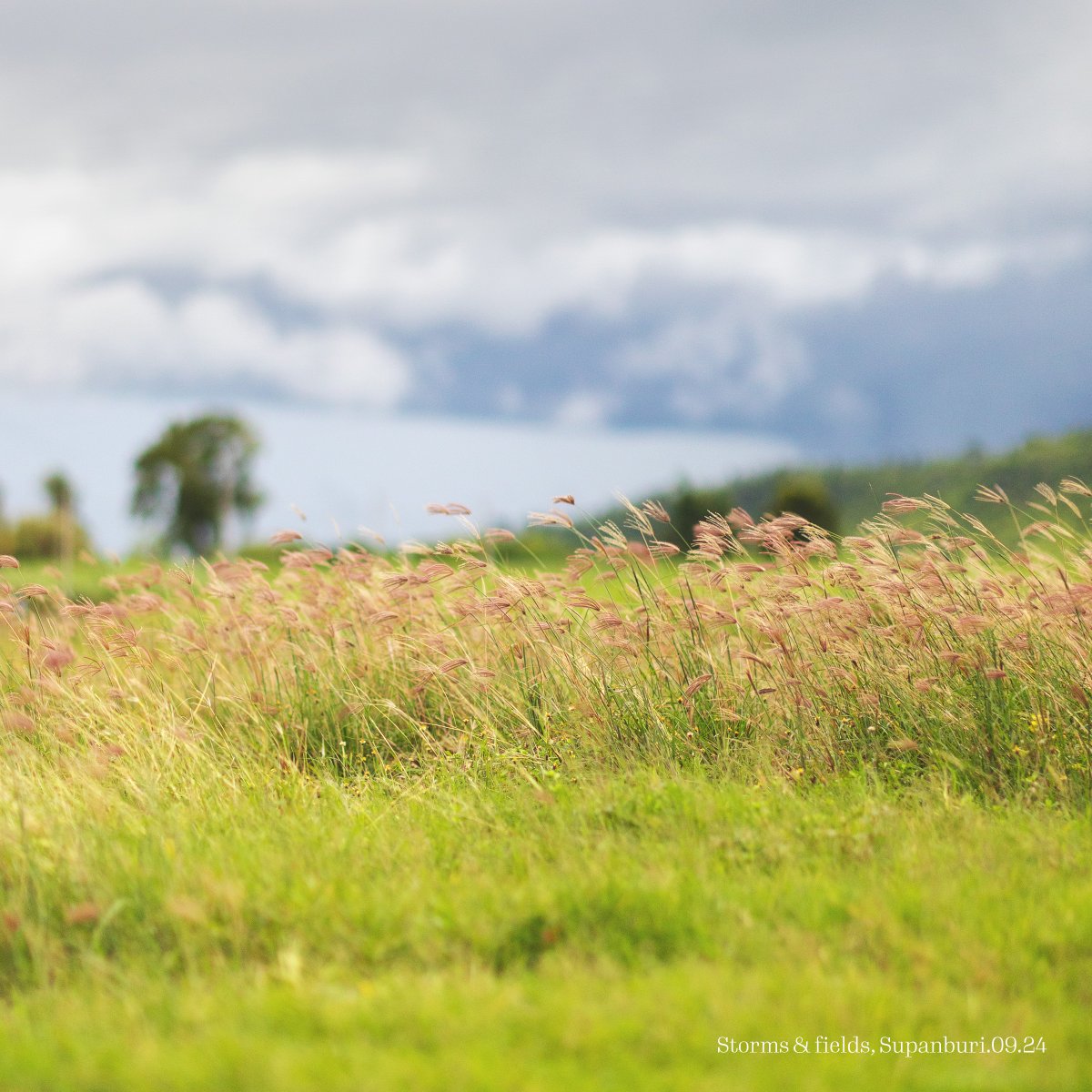 “อันนั้นก็ผิด อันนี้ก็ไม่ใช่ ทำไมเขาถึงเป็นคนแบบนี้! ทำไมอากาศมันร้อนจังเลย!
มันน่าแปลกที่ในหัวเรามักคิดกังวลถึงสิ่งต่างๆ มากมายที่เราไม่สามารถควบคุมได้ .. แล้วมีอะไรที่เราควบคุมได้บ้าง?
เมื่อผมเริ่มเปลี่ยนที่ตัวเองก่อน โดยการปล่อยวางสิ่งที่ผมควบคุมไม่ได้