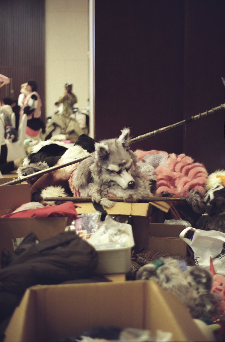 What’s Valentine? All I know is it’s Friday again… T T
#FursuitsFriday