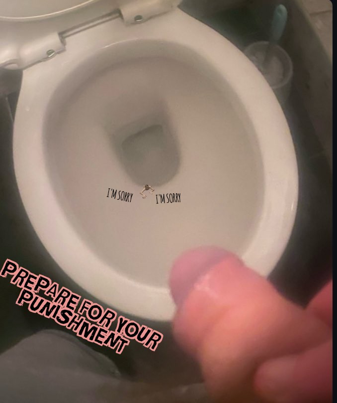 pocketboytommy tweet media