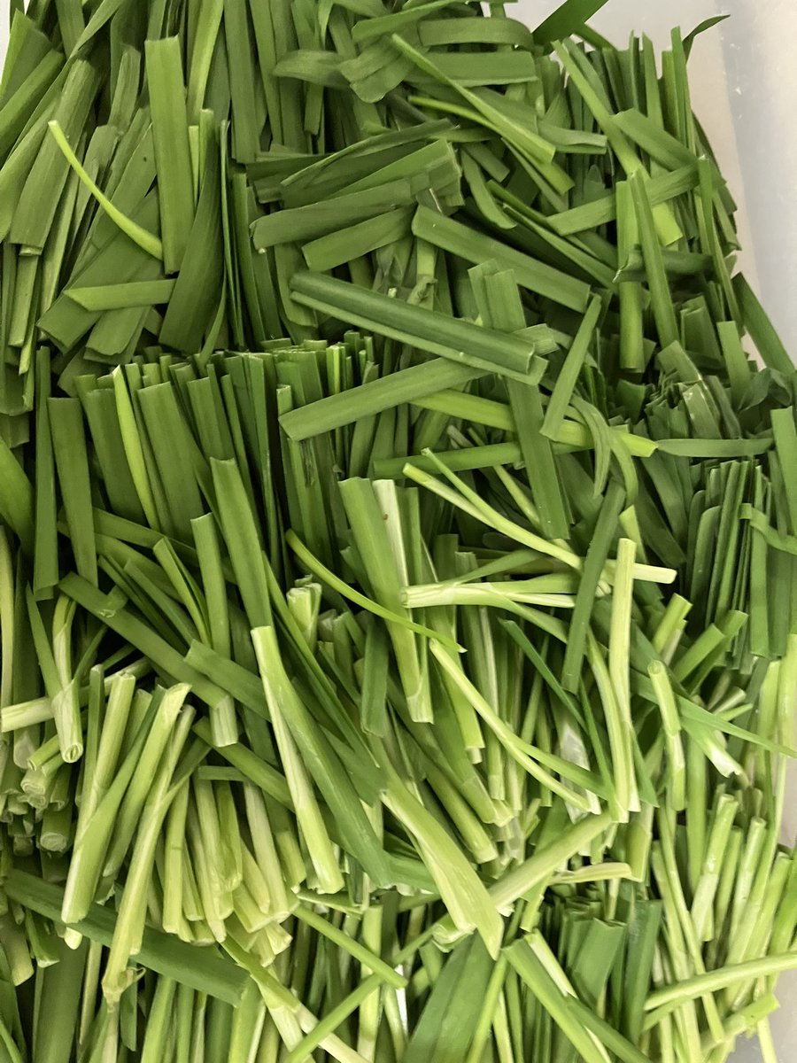 Butasuke_'s tweet image. おはようございます！
豚すけです🐷🍜

お足元にお気をつけてお越しください！
本日もお待ちしております❄️