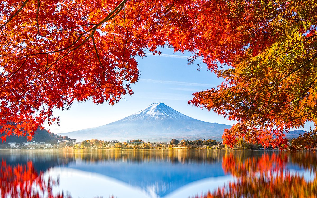 explorersal's tweet photo. @PrimordialAA Tokyo - Lake Kawaguchi (day trip but you'll want to stay longer if possible

Kyoto - Arashiyama bamboo forest + Monkey park (for kids). There are many shrines but my top 2 are  Kiyomizudera (beautiful views and architecture, lots to do) and Fushimi Inari (spiritual) https://t.co/TG0LxQA2wy