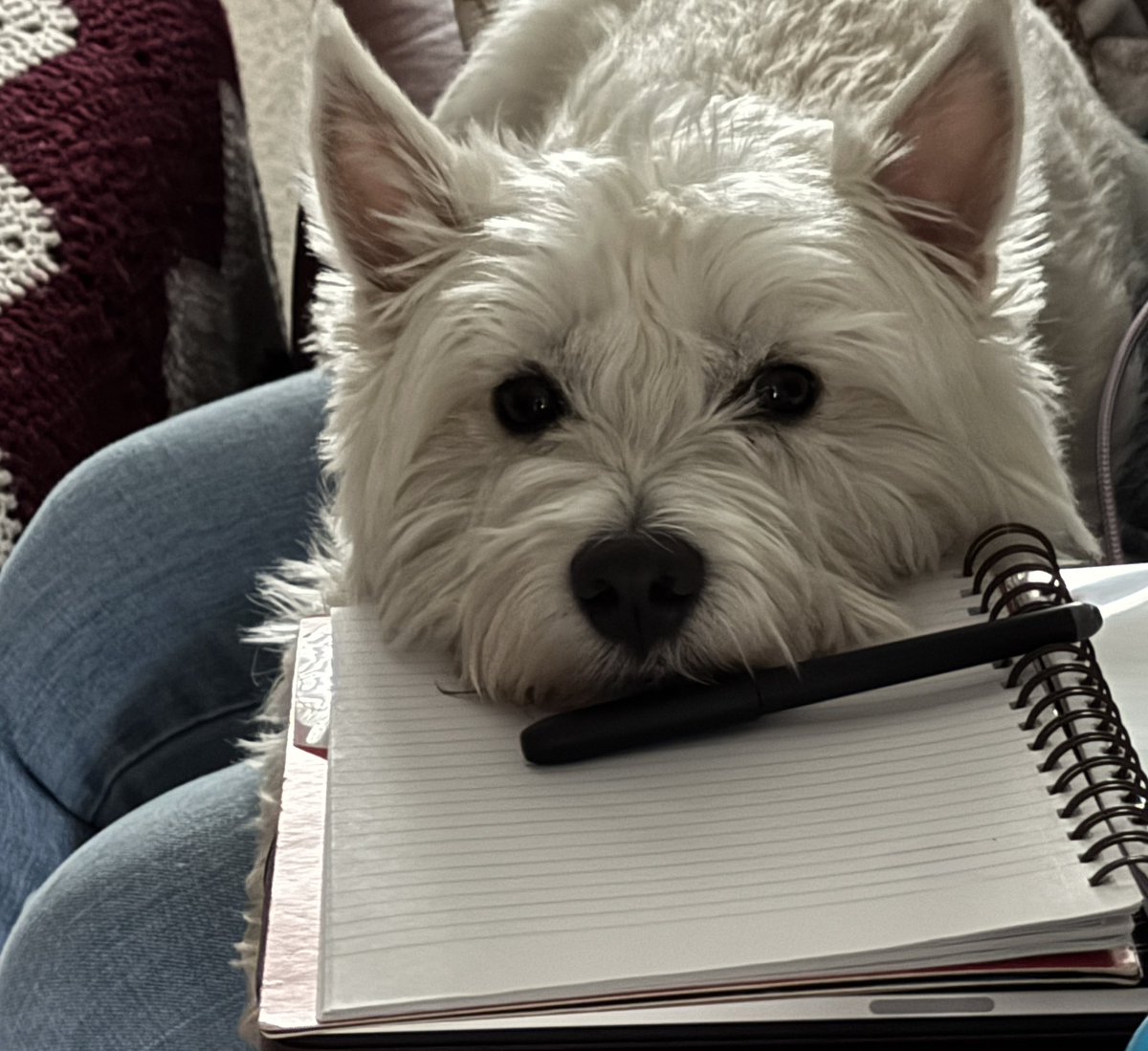 Whatcha doing?