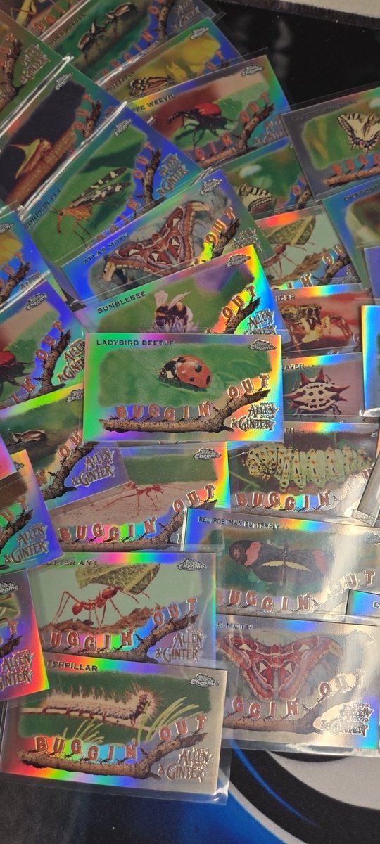 UhKnEeTaH's tweet image. #AllenandGinterChrome
#BugginOut
#Refractory
🐞🐝🐛🦋