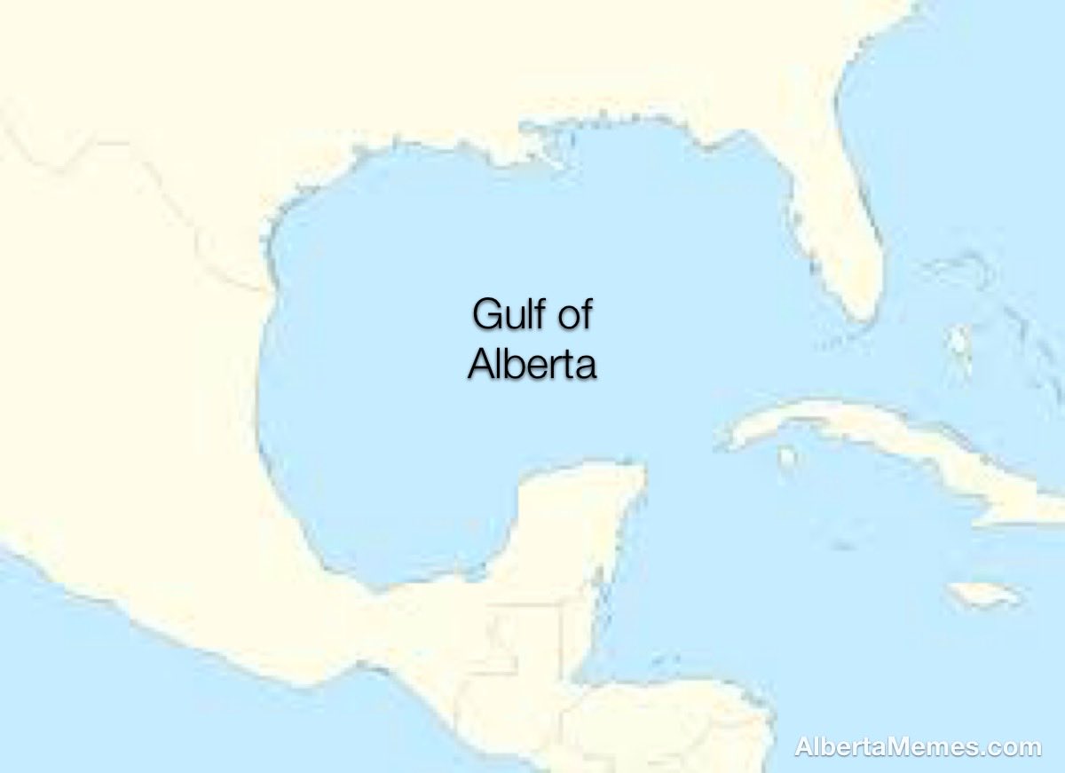 BertaMemes's tweet image. Drill baby drill