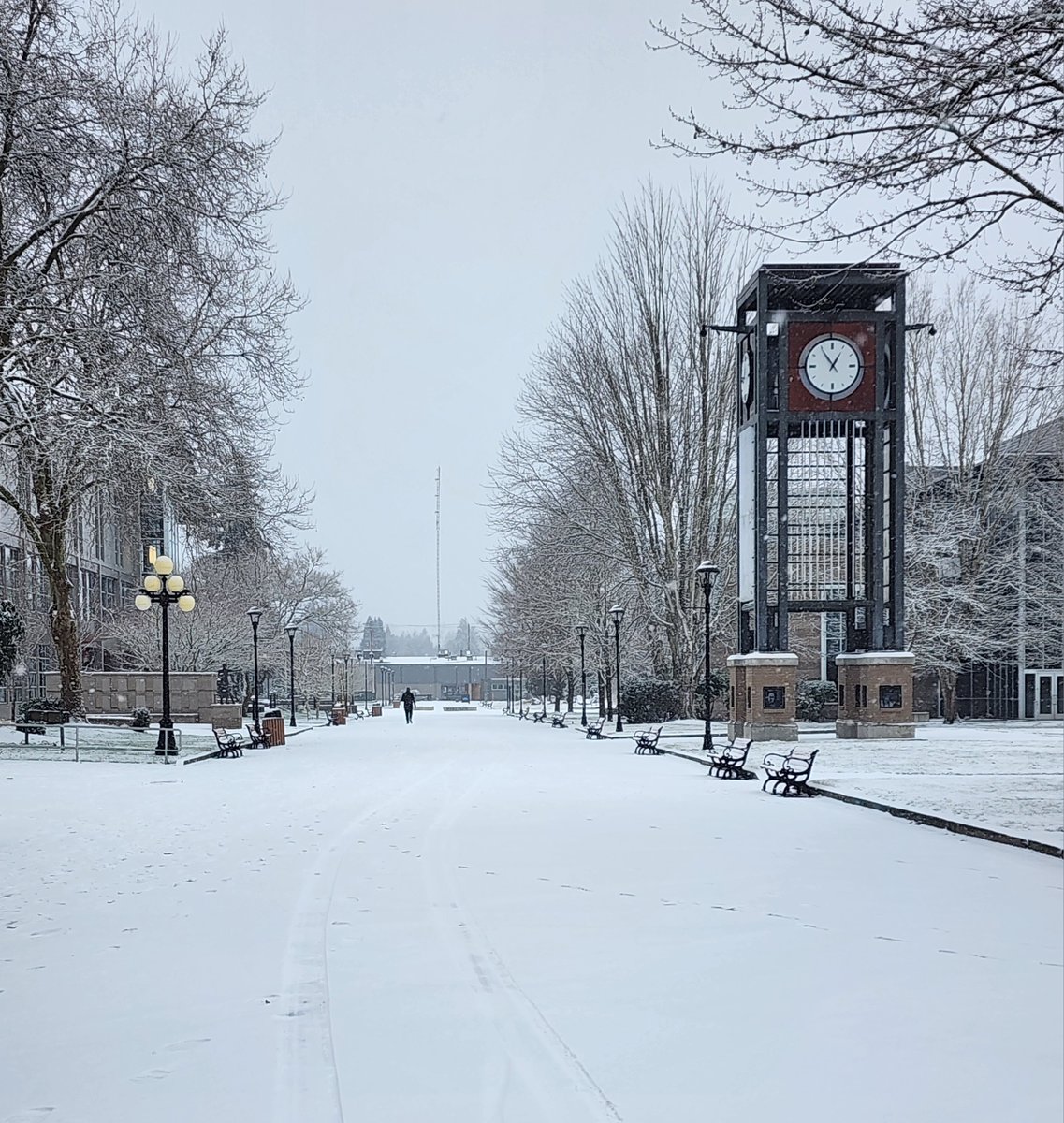The campus sure looks beautiful with fresh snow. Stay safe, Blazers❤️
Thanks to Joy Anglesey for sharing this gorgeous photo.