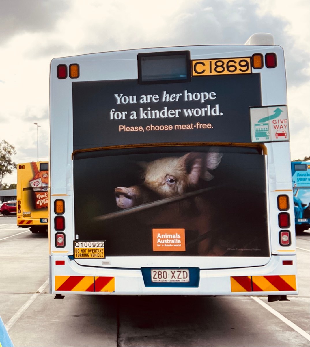 SPOTTED! Our major ad campaign has hit the strees across Australia. Learn more about how we're bringing the victims of factory farms out of the shadows: animalsaus.co/4fepfIk