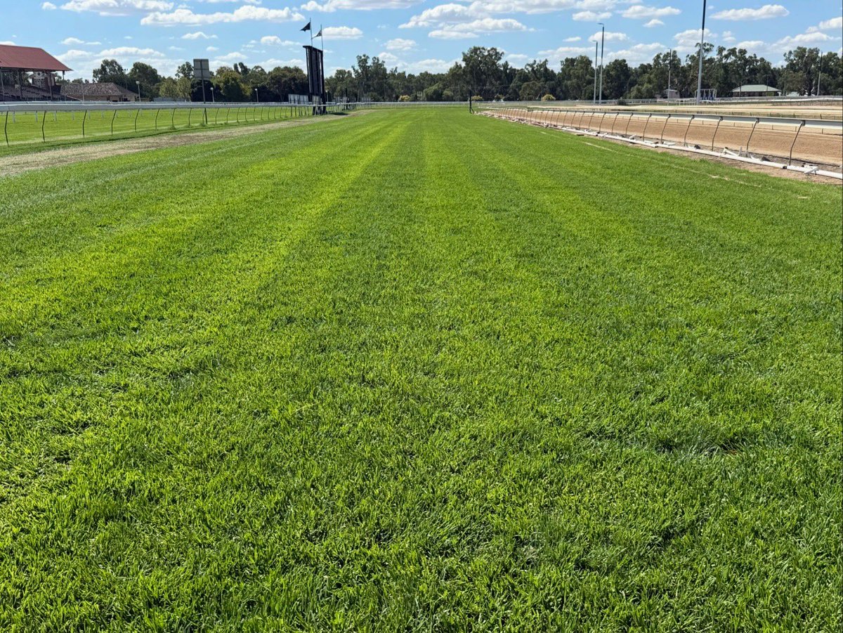MTC Wagga tweet media