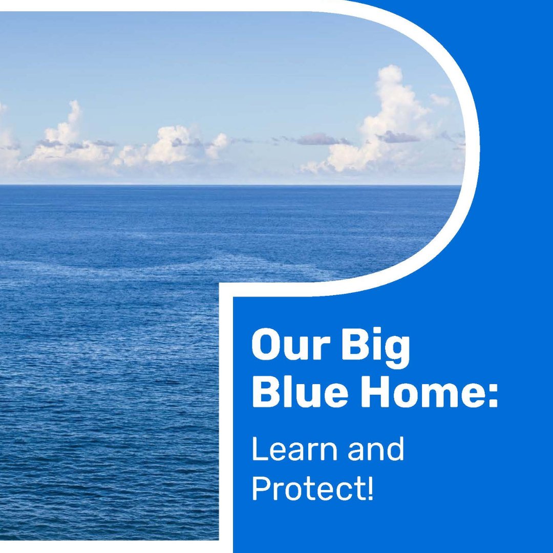 AllAtlanticO's tweet image. 📢 @Europe_MPA created a series of kid-friendly articles (8+) about marine life, habitats, and protection! 

🌊🐠 Available in multiple languages, they’re free to read and download. Check them out here: mpa-europe.eu/our-big-blue-h… 🌍📖 

#OurBigBlueHome #MarineProtectedAreas