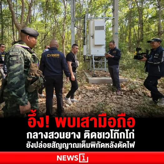 กระบี่ไร้เทียมทาน tweet media