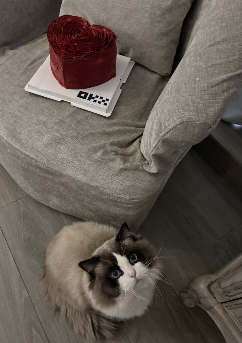 草莓软糖 tweet media