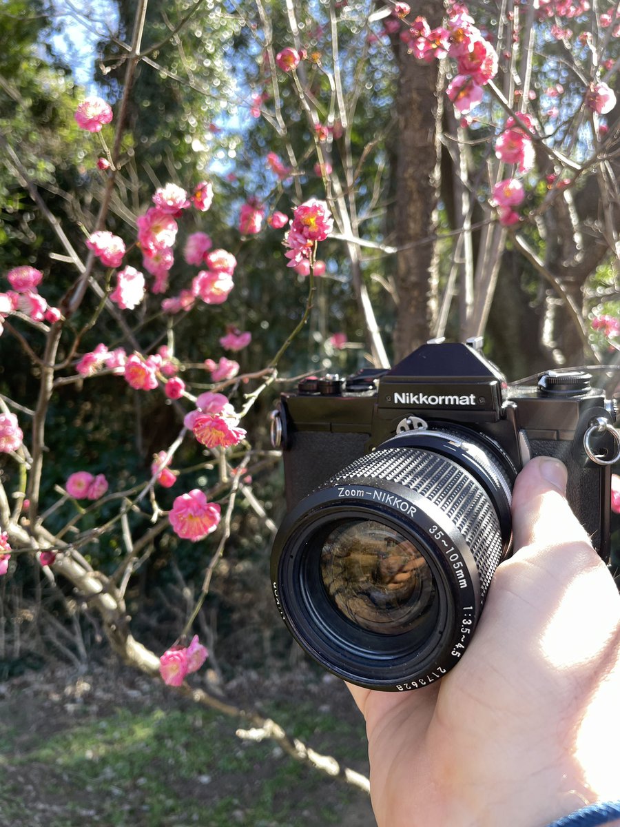 Out shooting film