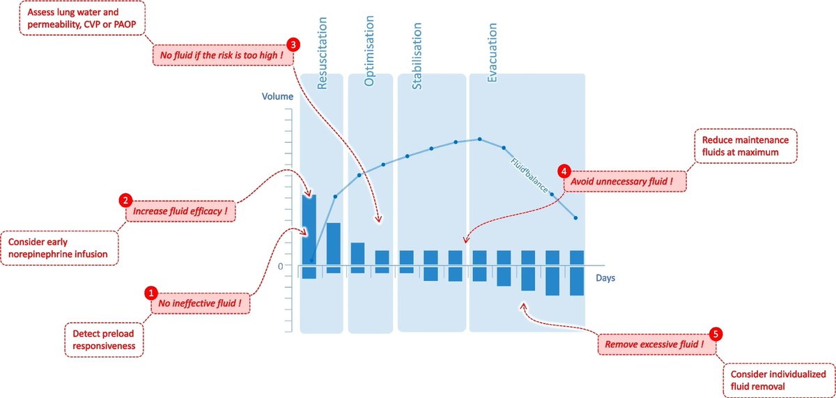 Today's Paper of the Day is how I personalize fluid therapy in septic shock

criticalcarereviews.com/latest-evidenc…

Join us to read 1 paper per day and stay up-to-date as we cover the spectrum of critical care across 2025