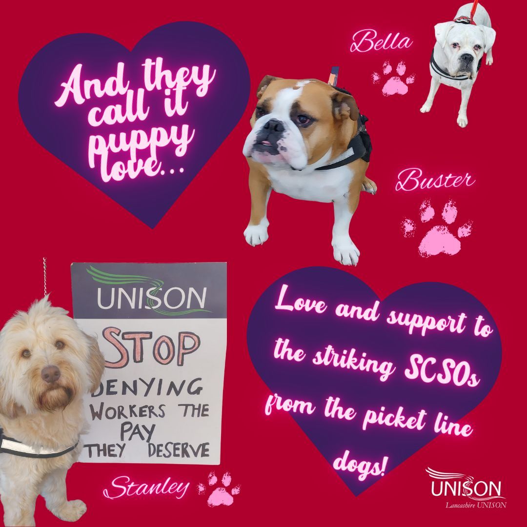 Show some love for the striking SCSOs this Valentine's day - just like our very own picket dogs! Find out how you can support at buff.ly/3MRcoAm #SCSOstrike