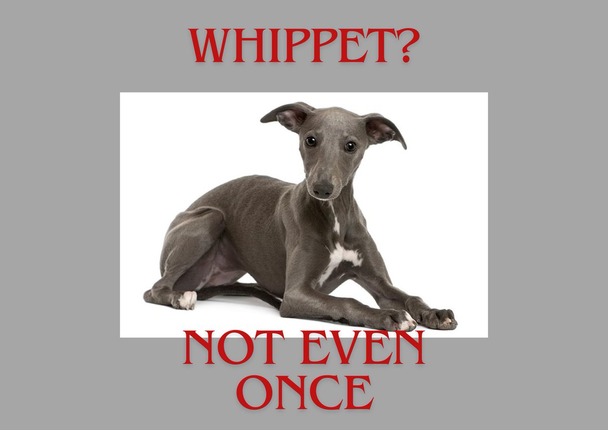 That's for the meme, <a href="/pbarb/">Barb P.</a>