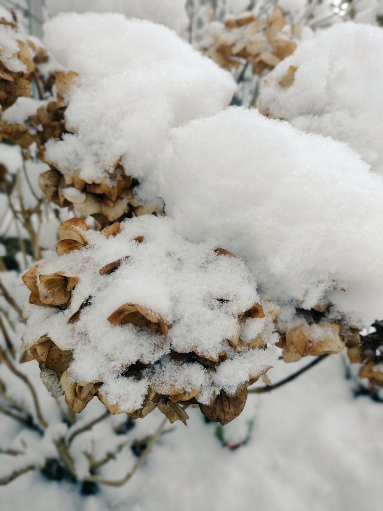 Good morning LockNation. Have some snow pics! We don't get to take many of these here. #SaveLockwoodandCo