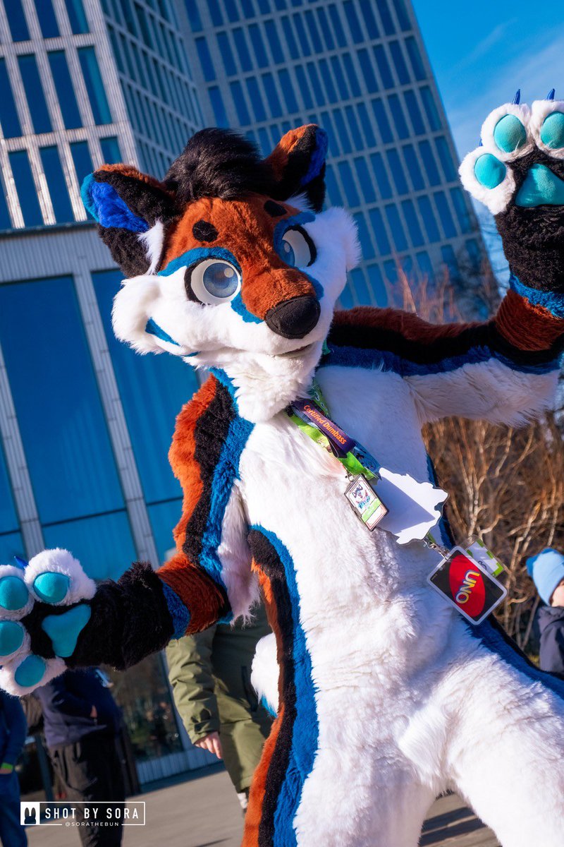 Did you know the husk already arrived at #malmö last Thursday to enjoy the city and get ready to party at #nordicfuzzcon