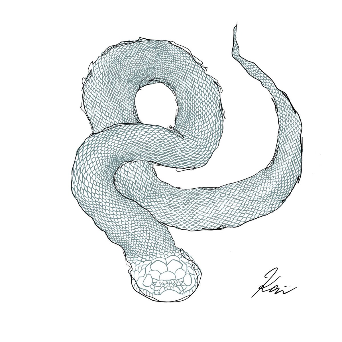 kar_artworks's tweet photo. 《ヘビ》 途中ポスト
#karart #ヘビ #青い #蛇 #巳 #巳年 #ドラゴン #龍 #alligatorlizard #reptile #イラスト #イラストグラム #イラストレーター #animal #animallover #animallovers #爬虫類 #illustrationartists #爬虫類好きの人と繋がりたい https://t.co/hM6Klvbpro
