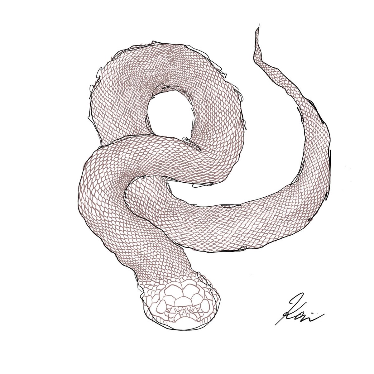 kar_artworks's tweet photo. 《ヘビ》 途中ポスト
#karart #ヘビ #青い #蛇 #巳 #巳年 #ドラゴン #龍 #alligatorlizard #reptile #イラスト #イラストグラム #イラストレーター #animal #animallover #animallovers #爬虫類 #illustrationartists #爬虫類好きの人と繋がりたい https://t.co/hM6Klvbpro